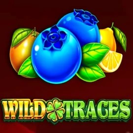 Wild Traces logo by Amusnet Interactive at Spinalto Casino